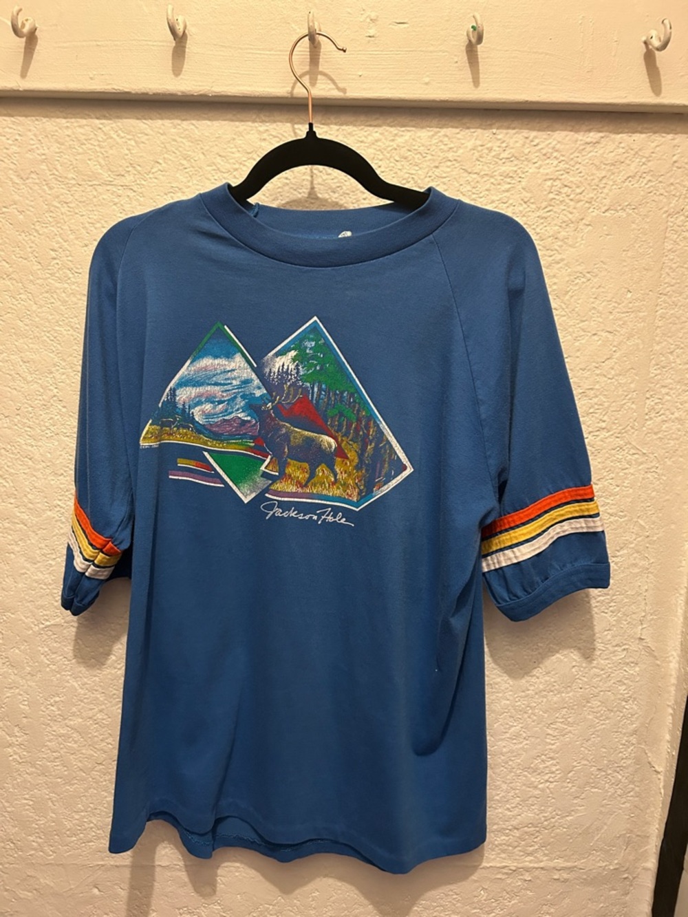 Blue Graphic Tee with Striped Sleeves